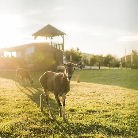 Hof Koehne - Haus Am Reitplatz 2er *