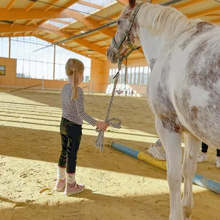 Hof Koehne - Haus Am Reitplatz 2er *