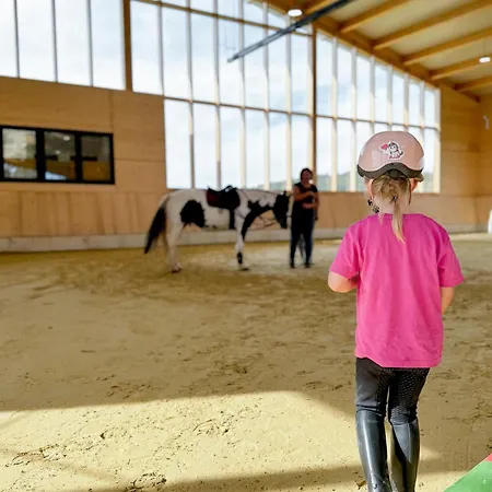 Prázdninový dům Hof Koehne - Haus Am Reitplatz 2er