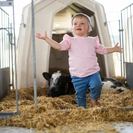 Prázdninový dům Hof Koehne - Haus Am Reitplatz 2er Schmallenberg