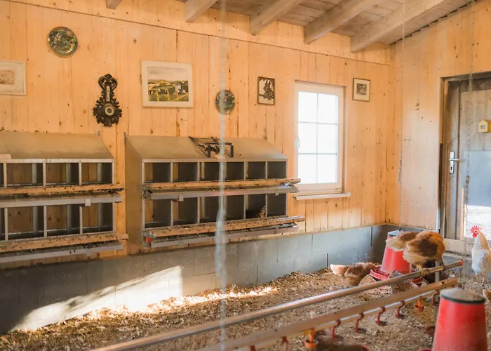 Hof Koehne - Haus Am Reitplatz 2er *